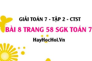 Giải bài 8 trang 58 Toán 7 tập 2 SGK Chân trời sáng tạo